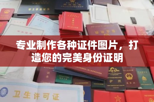 汐止专业制作各种证件图片，打造您的完美身份证明